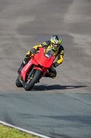 PJ-Motorsport-2019;anglesey-no-limits-trackday;anglesey-photographs;anglesey-trackday-photographs;enduro-digital-images;event-digital-images;eventdigitalimages;no-limits-trackdays;peter-wileman-photography;racing-digital-images;trac-mon;trackday-digital-images;trackday-photos;ty-croes